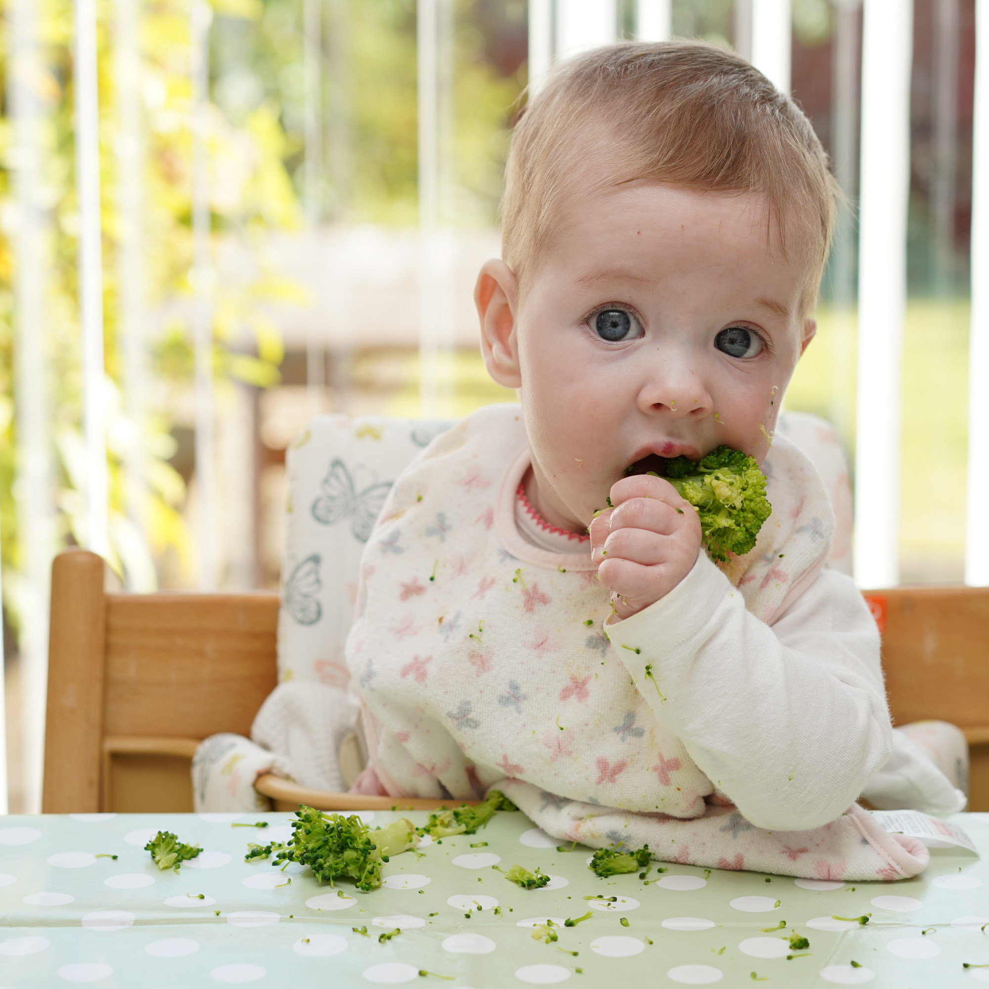 Common 2024 baby food